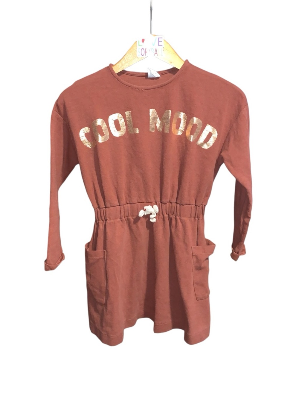 Zara 'Cool Mood' Long Sleeve Drawstring Waist Dress Rust Pockets Gold Graphic